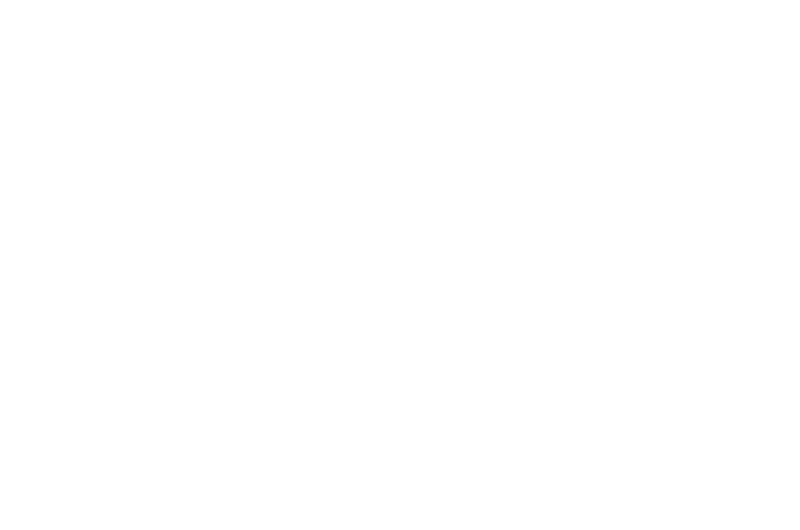 title 90 days